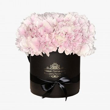 3 розовые Гортензии в черной шляпной коробке