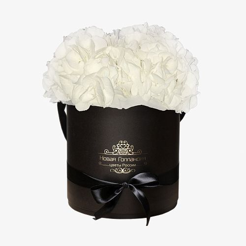 3 Белые Гортензии в черной шляпной коробке