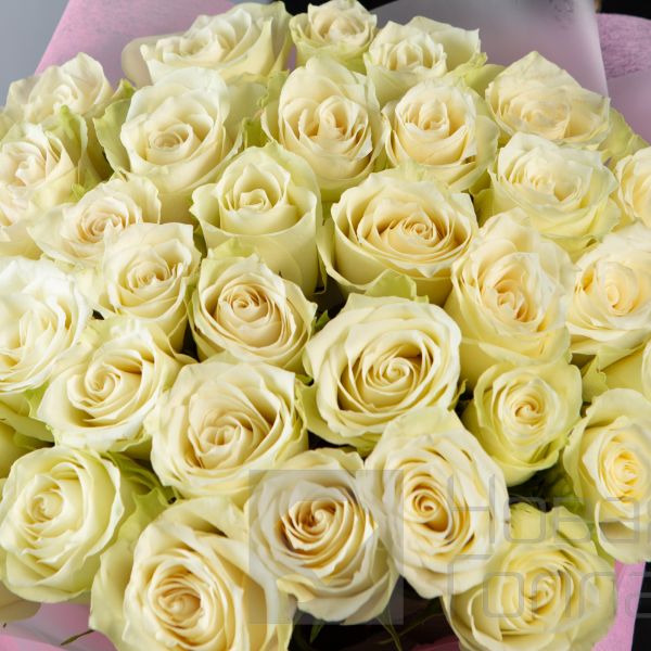 Букет 35 белых роз Кения  40 см в  упаковке