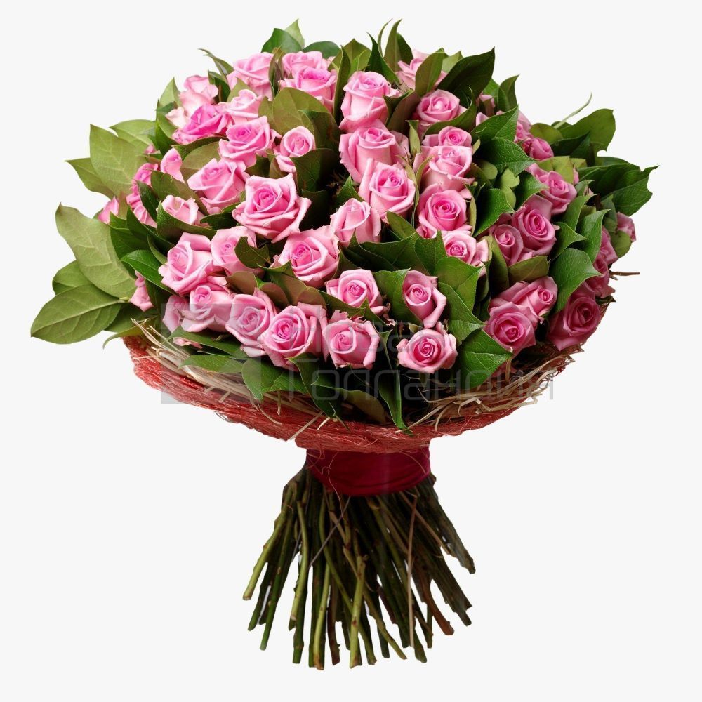 Букет из 75 розовых роз 50 см.