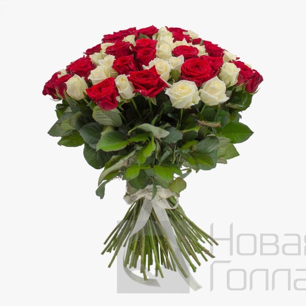 Букет 101 красно-белая роза 50 см