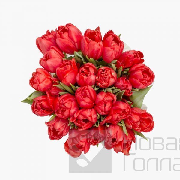 25 красных тюльпанов в белой маленькой шляпной коробке №525