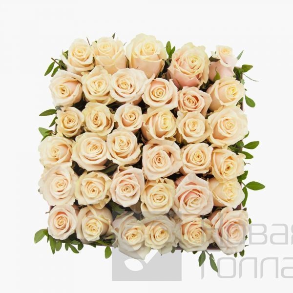 35 нюдовых роз в большой черной коробке шкатулке с макарунсами №469