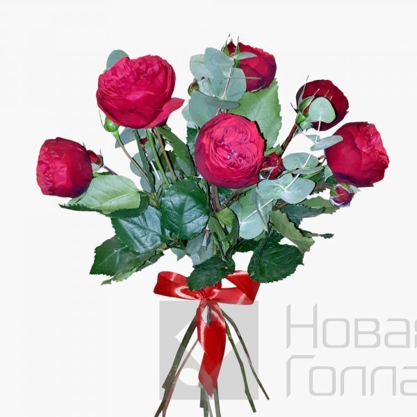 Букет из 7 красных пионовидных роз Премиум