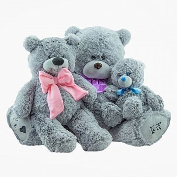 Набор Семья серых медведей