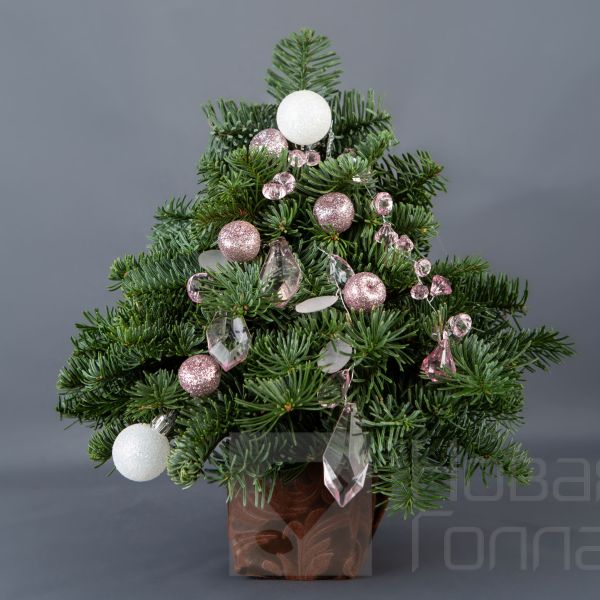 Ёлочка 25 см