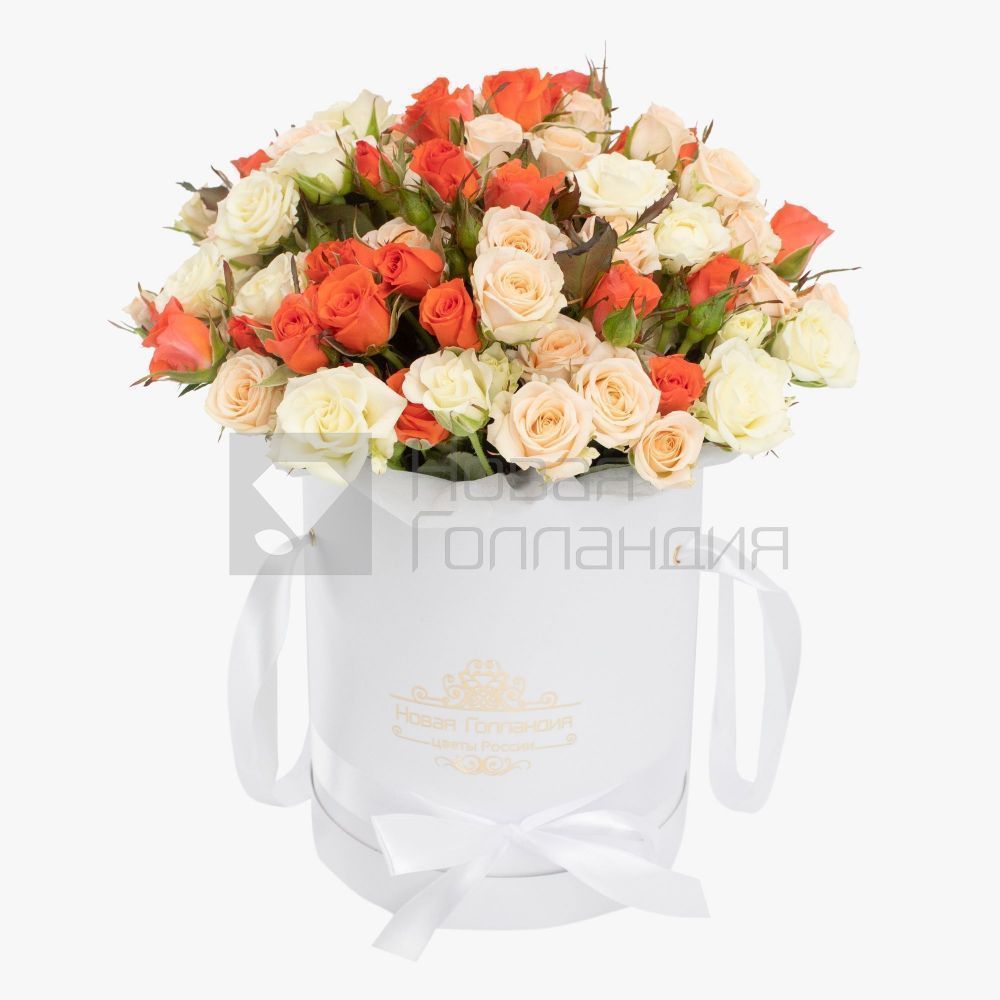 25 кустовых роз в шляпной белой коробке №816
