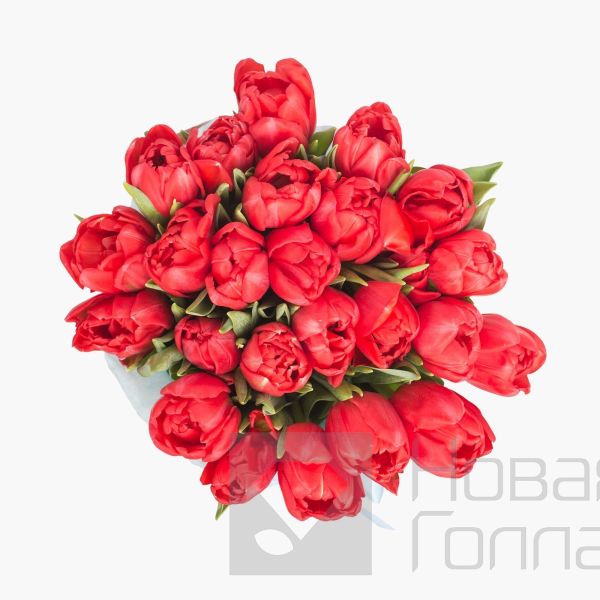 25 красных тюльпанов в голубой маленькой шляпной коробке №524