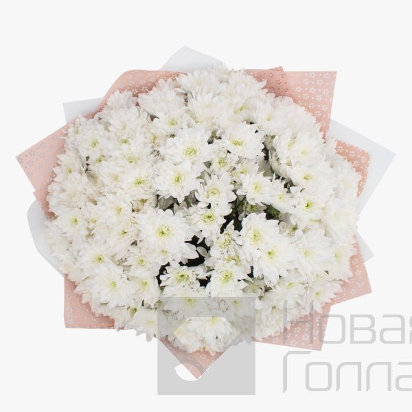 Букет 21 белая кустовая хризантема