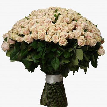 Букет 301 кремовая роза 60 см Букет 301 кремовая роза 60 см