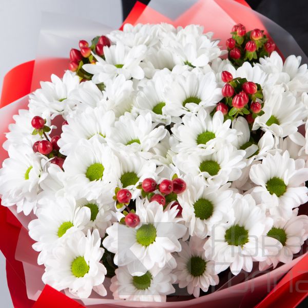 Букет Бакарди из ромашковой хризантемы