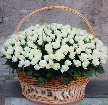 301 белая роза в большой корзине