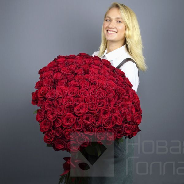 101 красная роза Премиум Эквадор 80-90 см.