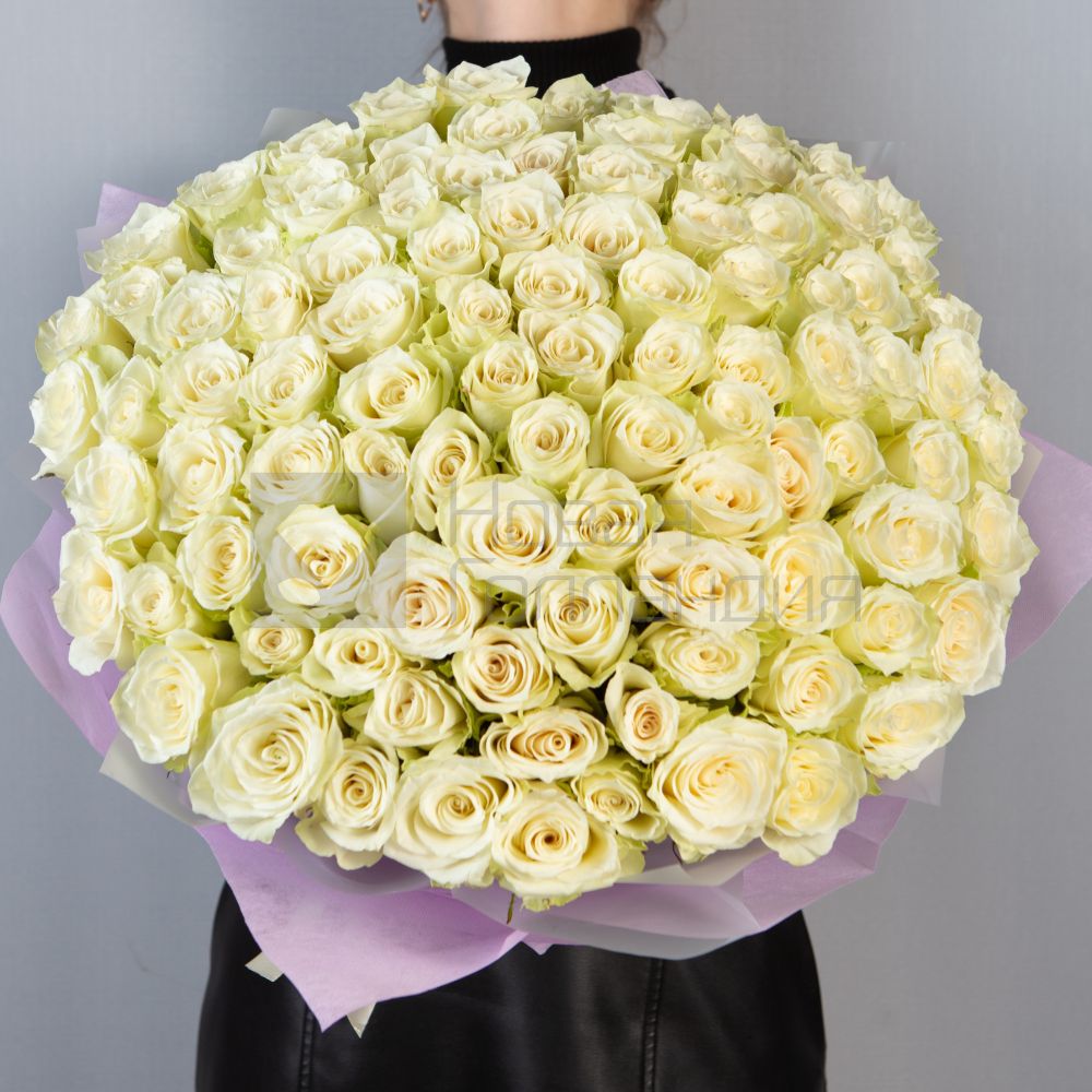 Букет 101 белая роза Кения  40 см  в упаковке