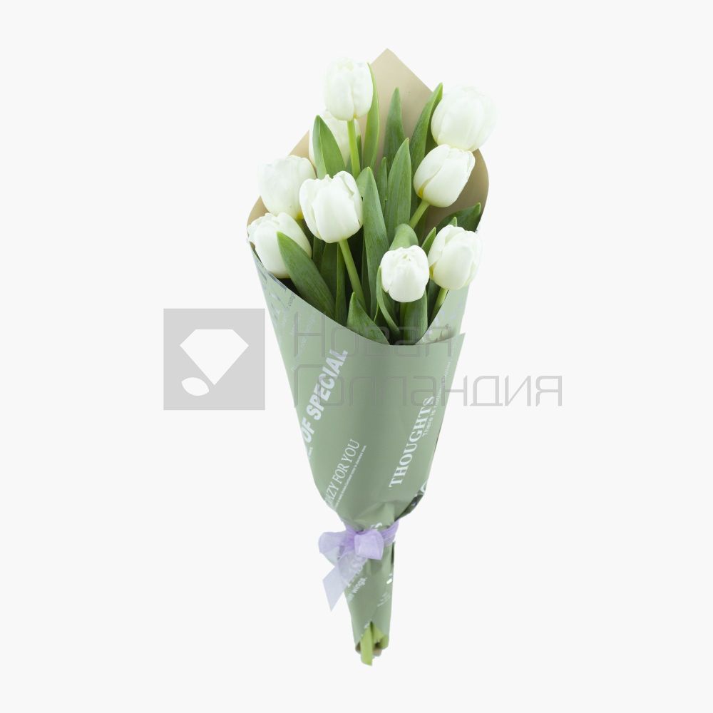 Букет 9 белых тюльпанов-1