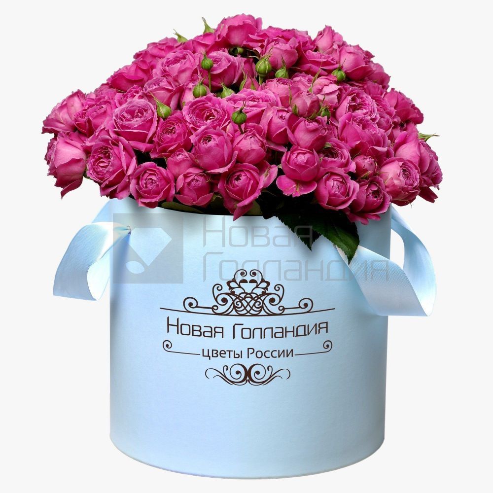 51 розовая кустовая пионовидная роза в большой голубой шляпной коробке №319