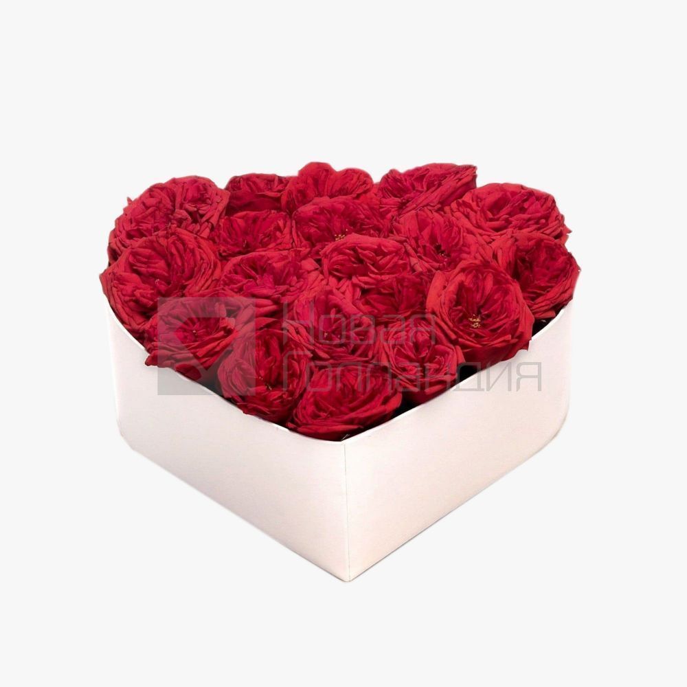 Сердце из 17 красных пионовидных роз Премиум