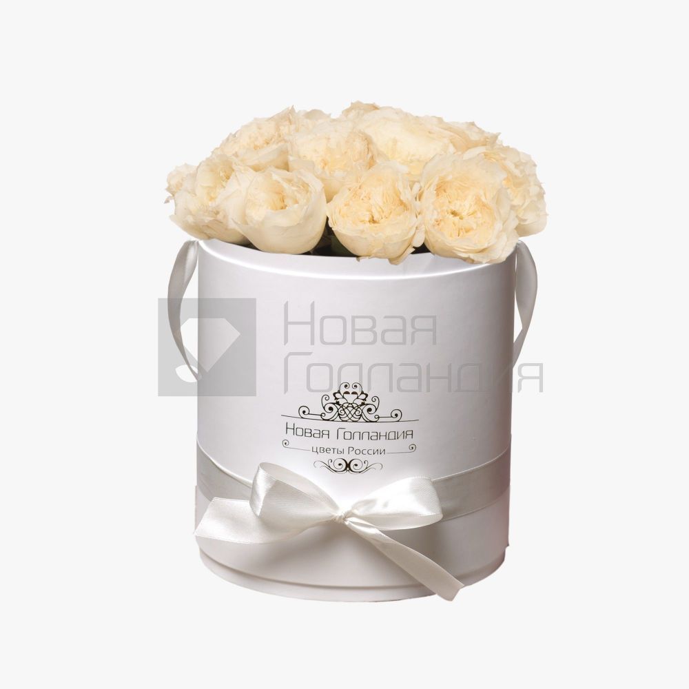 11 белых пионовидных роз Премиум в белой шляпной коробке №366