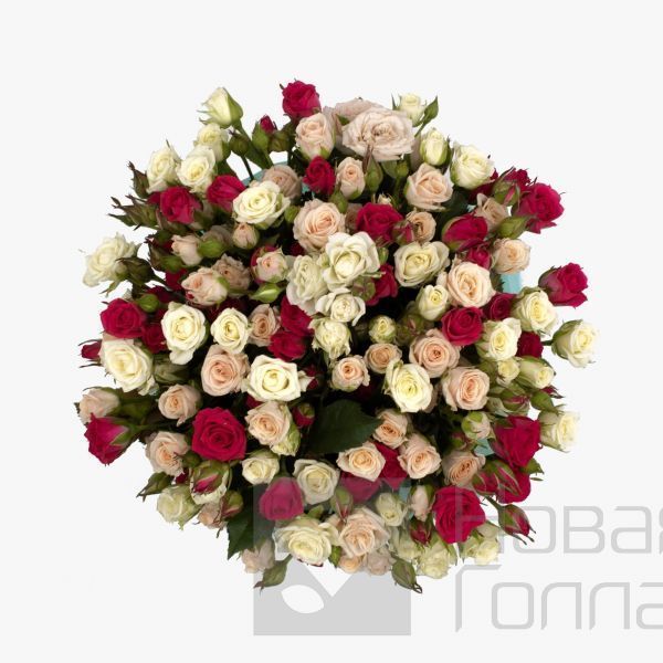 Кустовые розы ассорти в большой розовой коробке №704