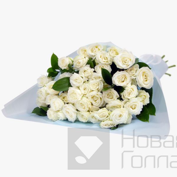 11 белых кустовых пионовидных роз Эквадор