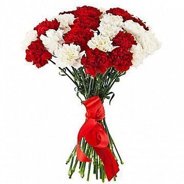 Букет из 25 гвоздик